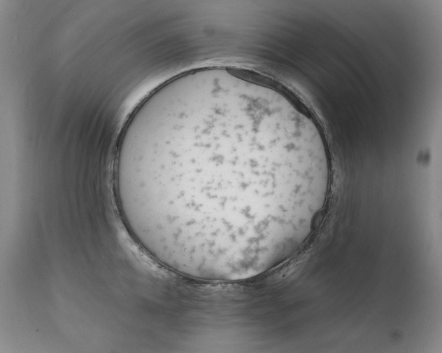 X0000111430952200907271102