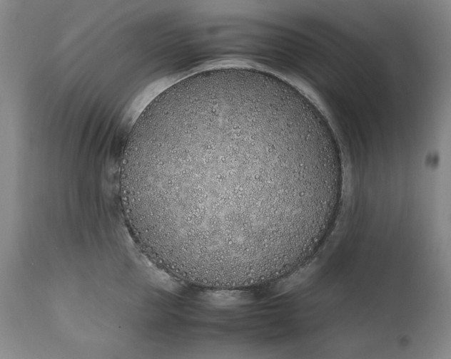 X0000111430953200907271102