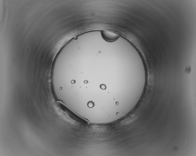 X0000111430954200907271102