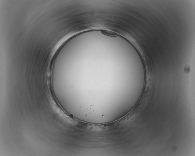 X0000111430955200907271102