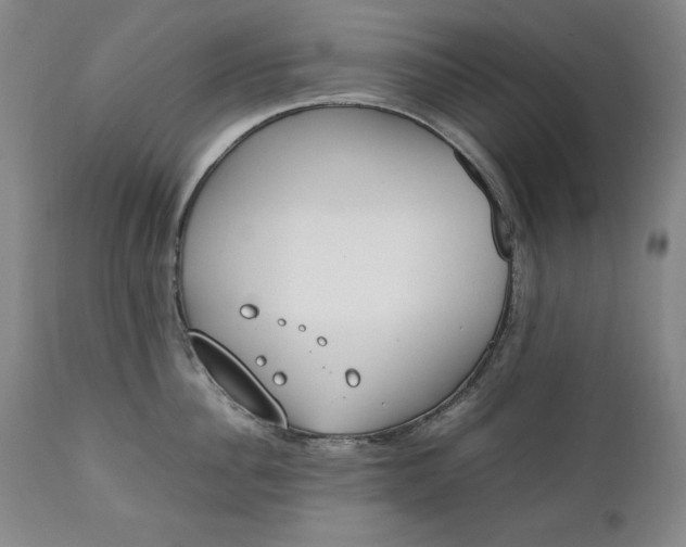 X0000111430956200907271102