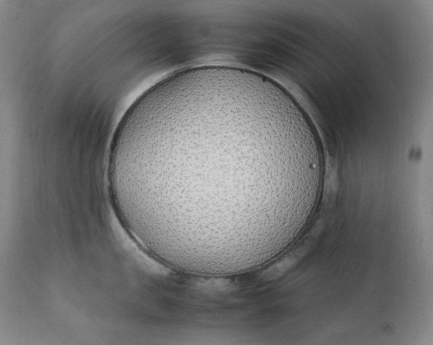 X0000111430957200907271102