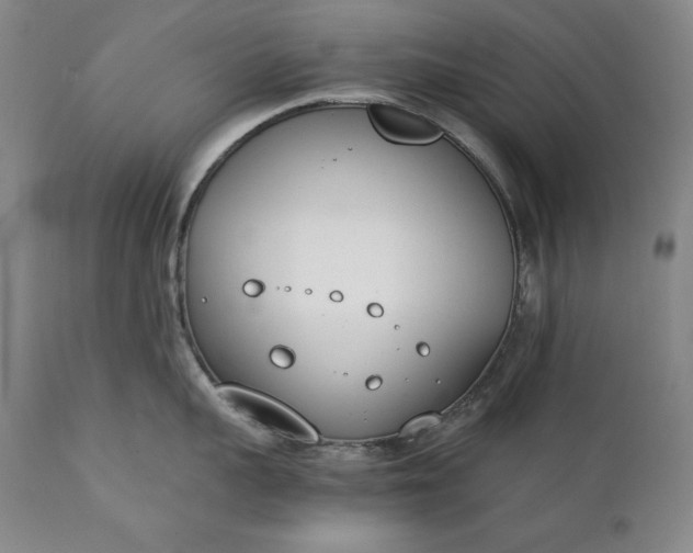 X0000111430959200907271102