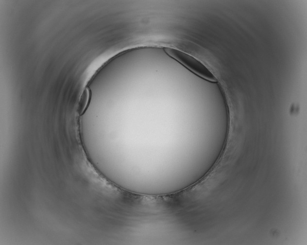 X0000111430960200907271102