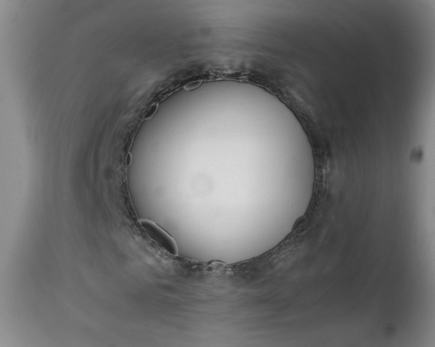 X0000111430961200907271101