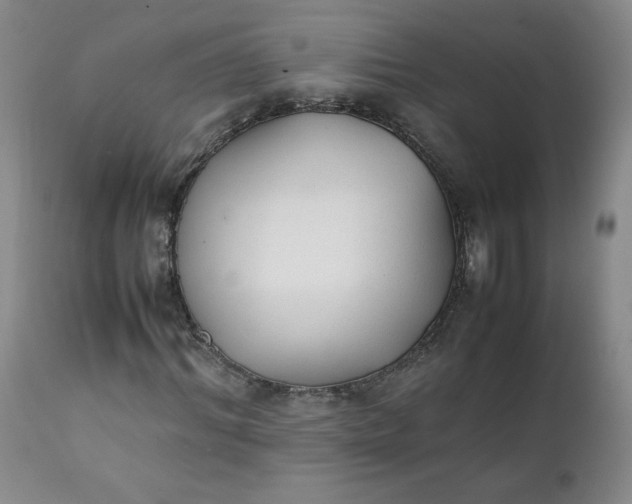 X0000111430964200907271101