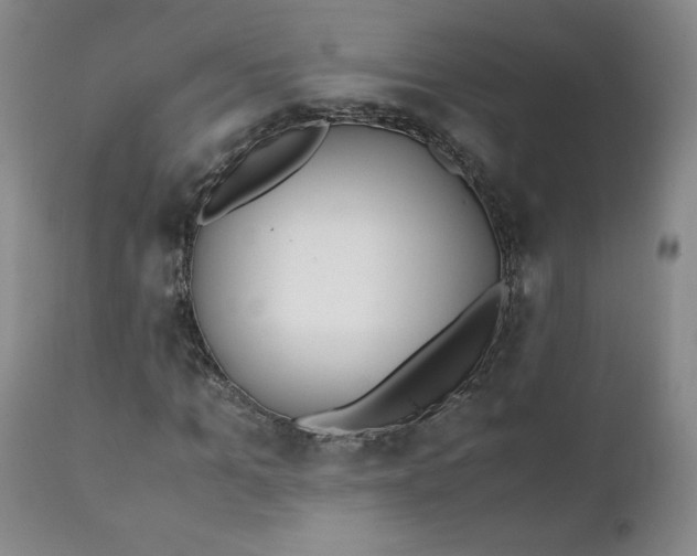 X0000111430965200907271101