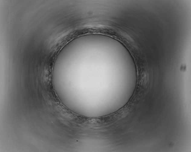 X0000111430966200907271101