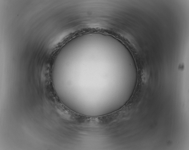 X0000111430968200907271101