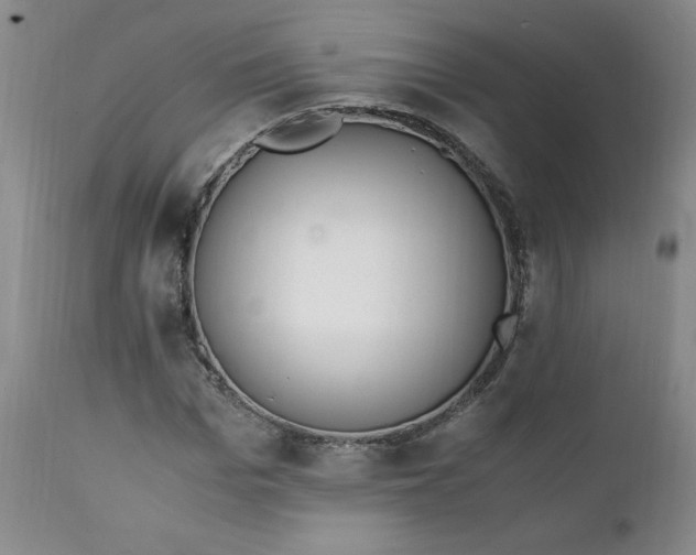 X0000111430969200907271101