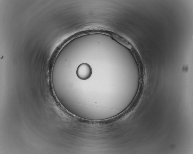 X0000111430973200907271101