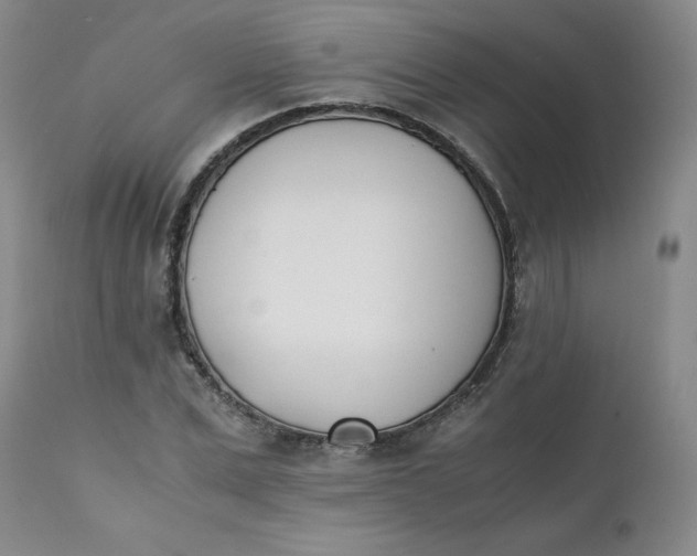 X0000111430975200907271101