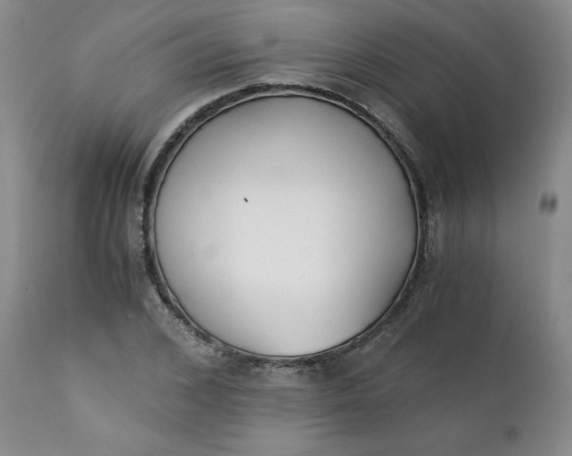 X0000111430976200907271101