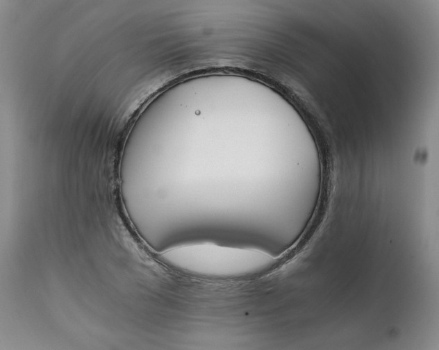 X0000111430977200907271101