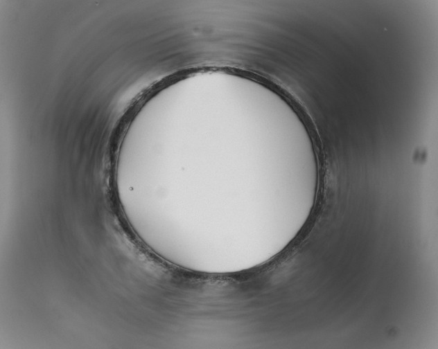 X0000111430979200907271101