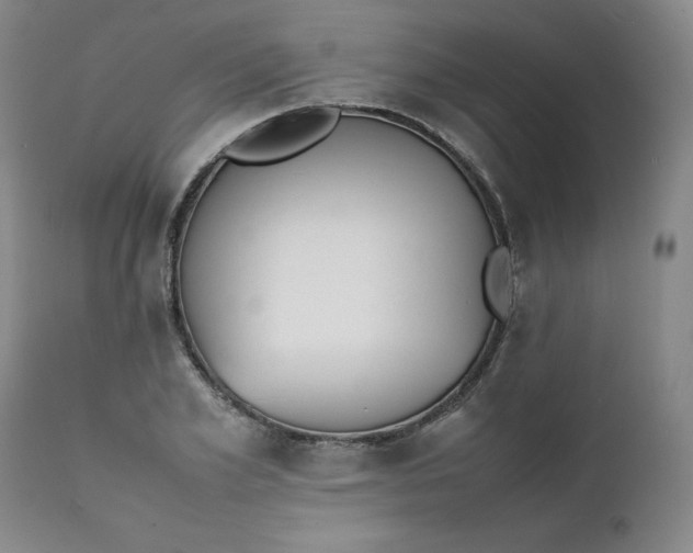 X0000111430981200907271101