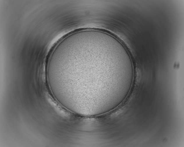 X0000111430982200907271101