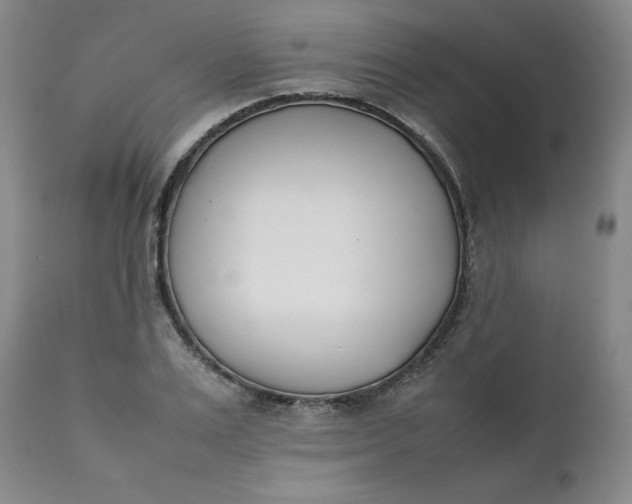 X0000111430983200907271101