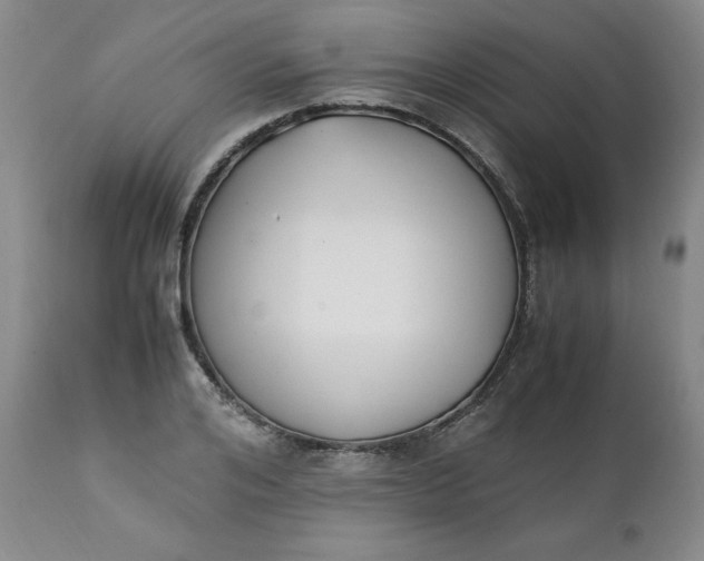 X0000111430984200907271101