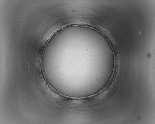 X0000111430985200907271101