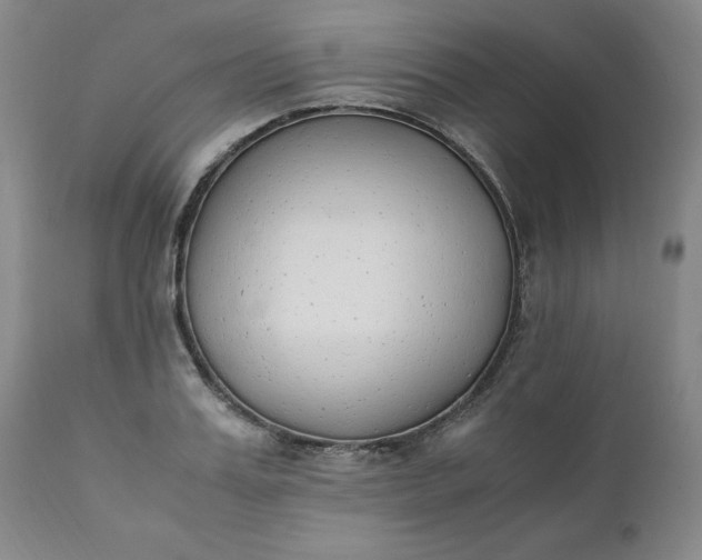 X0000111430987200907271101