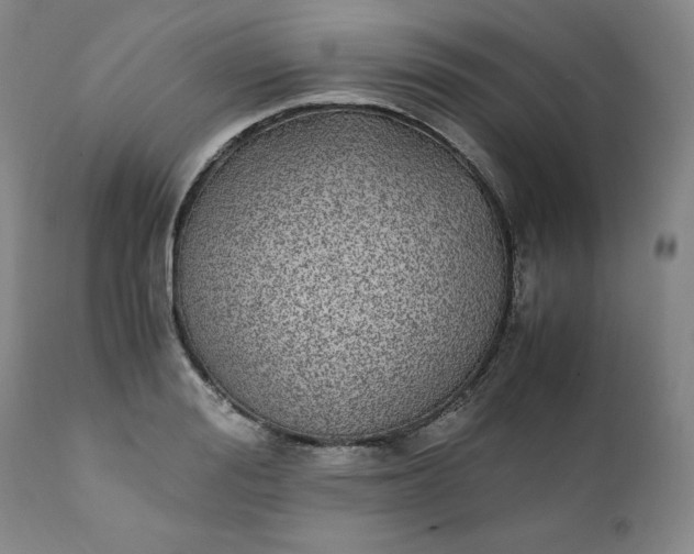 X0000111430988200907271101