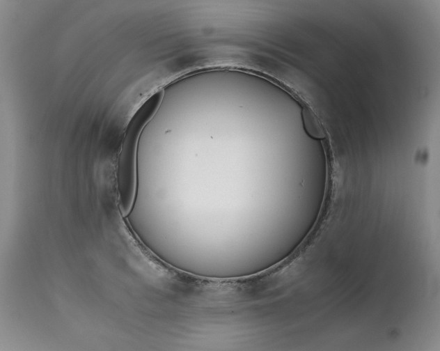 X0000111430993200907271101