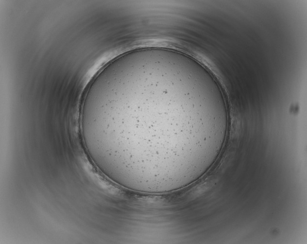 X0000111430994200907271101