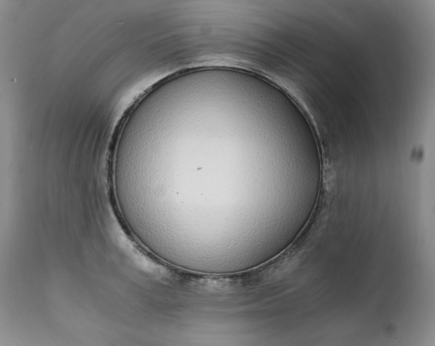 X0000111430995200907271101