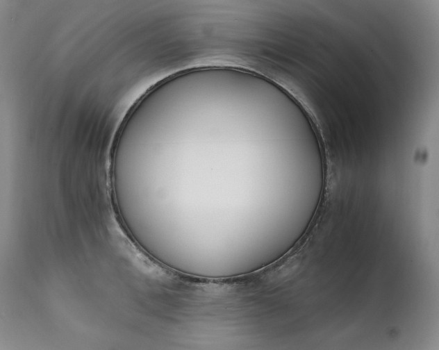 X0000111430996200907271101