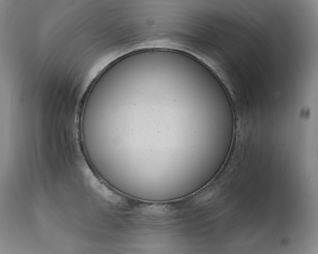 X0000111430998200907271101