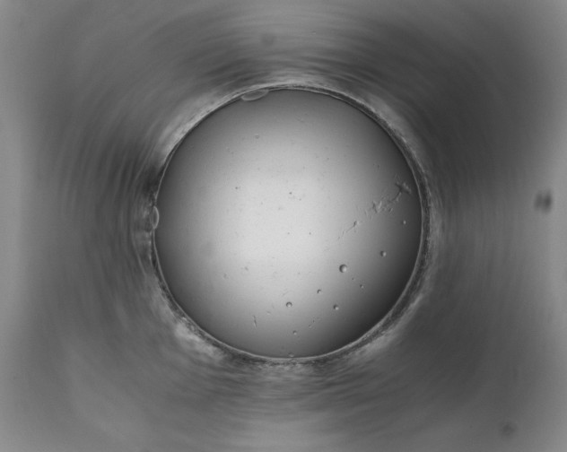 X0000111431001200907271101