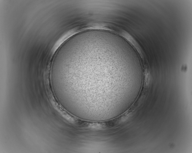 X0000111431002200907271101