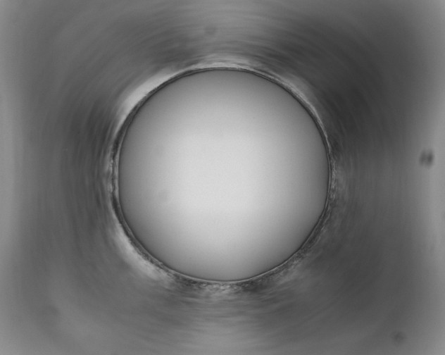 X0000111431003200907271101