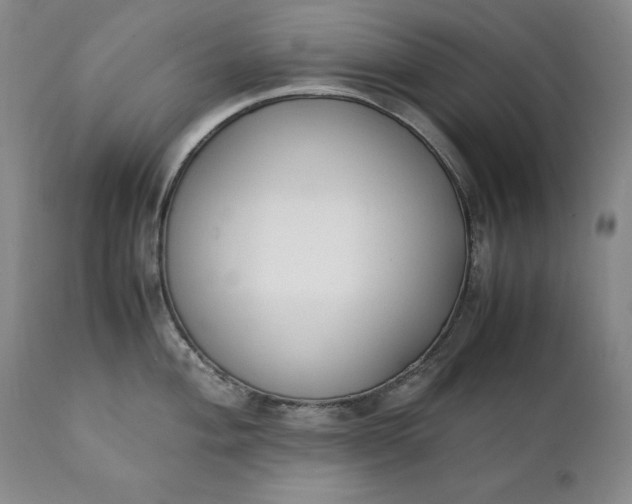 X0000111431004200907271101