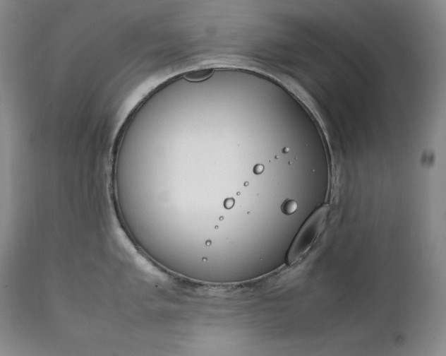 X0000111431005200907271101