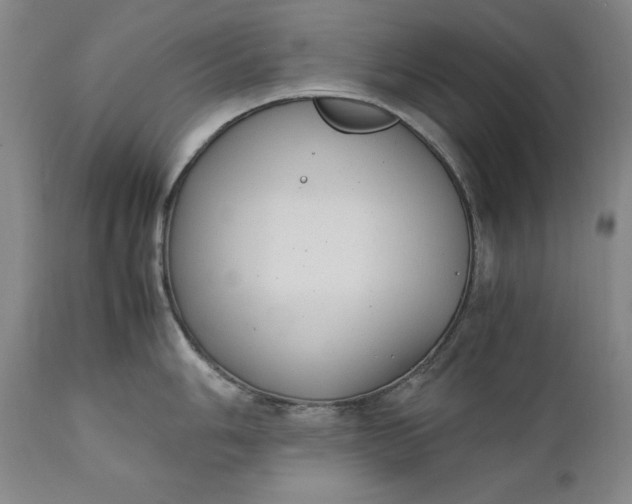 X0000111431006200907271101