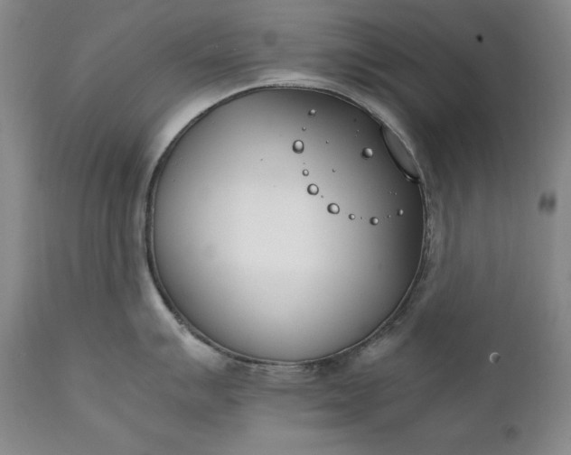 X0000111431007200907271101