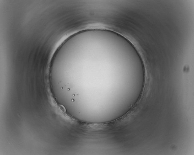 X0000111431008200907271101