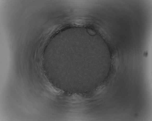 X0000111431009200907271100