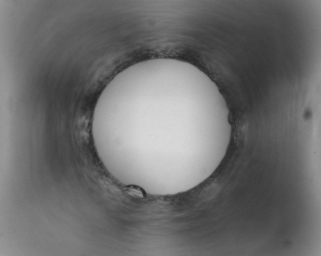 X0000111431010200907271100