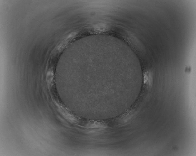 X0000111431011200907271100