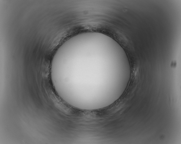 X0000111431012200907271100