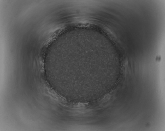 X0000111431013200907271100