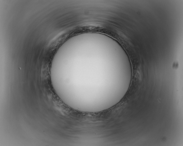 X0000111431014200907271100