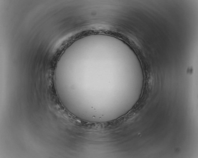 X0000111431016200907271100