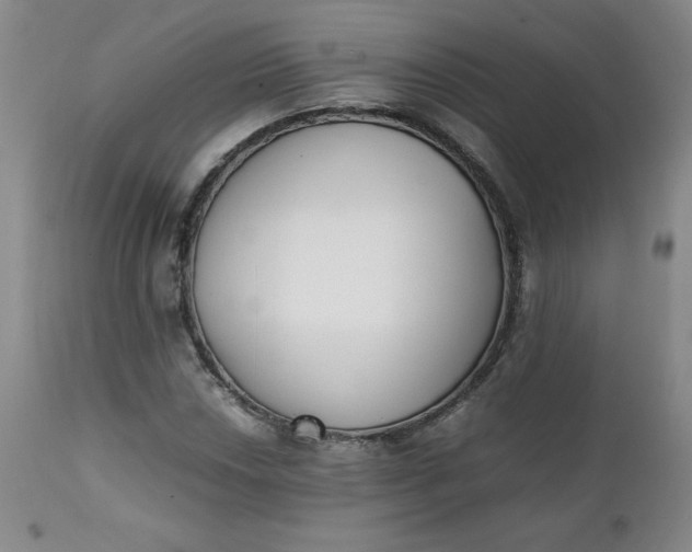 X0000111431018200907271100