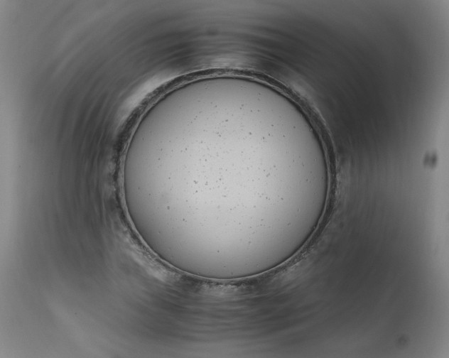 X0000111431019200907271100