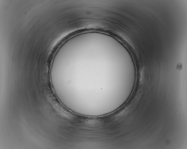 X0000111431021200907271100