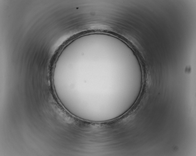 X0000111431022200907271100